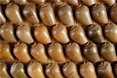 《拉娜的星球》明年春季发售 首发加入XGP